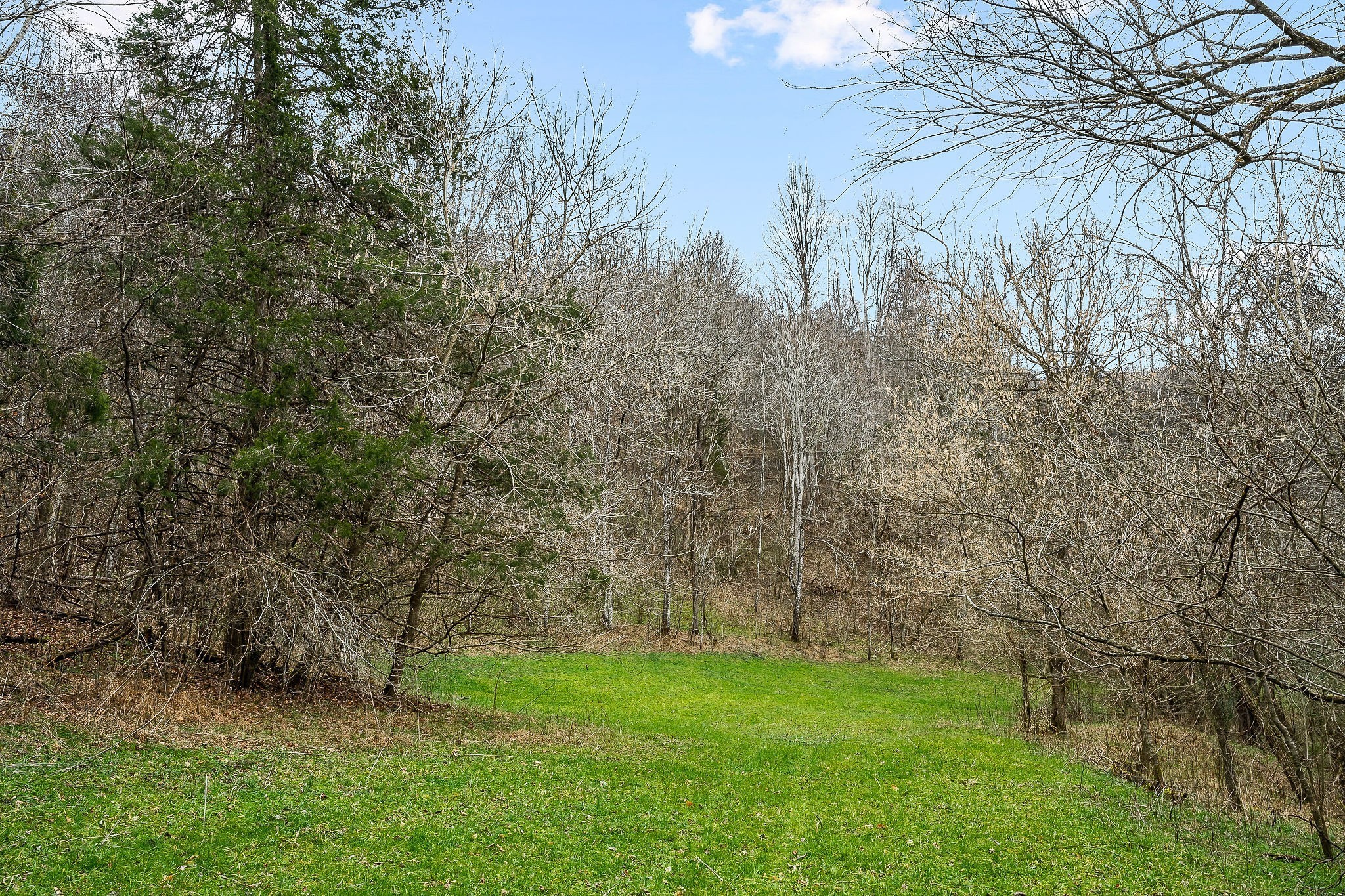 0 Lancaster Highway Hickman TN 38567