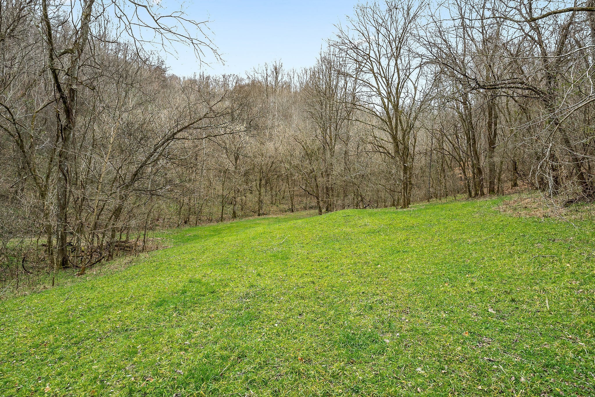 0 Lancaster Highway Hickman TN 38567