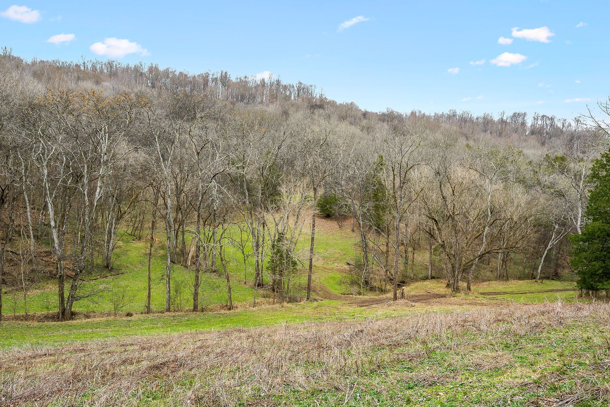 0 Lancaster Highway Hickman TN 38567