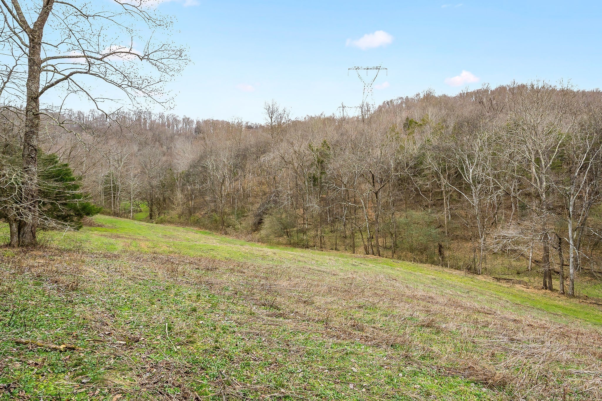 0 Lancaster Highway Hickman TN 38567