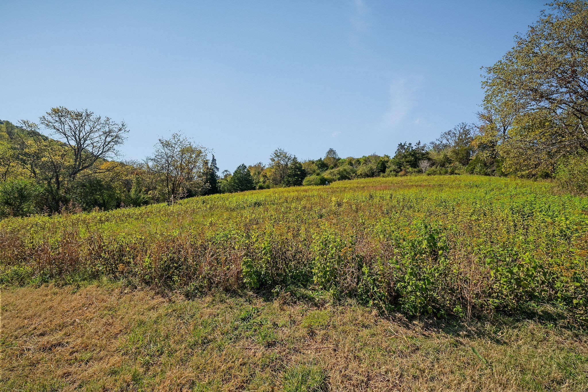 0 Lancaster Highway Hickman TN 38567