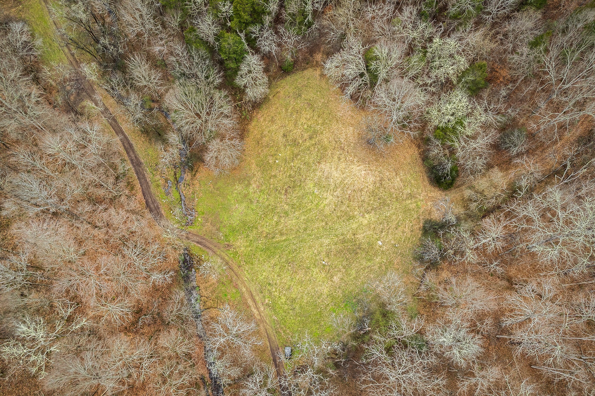 0 Lancaster Highway Hickman TN 38567