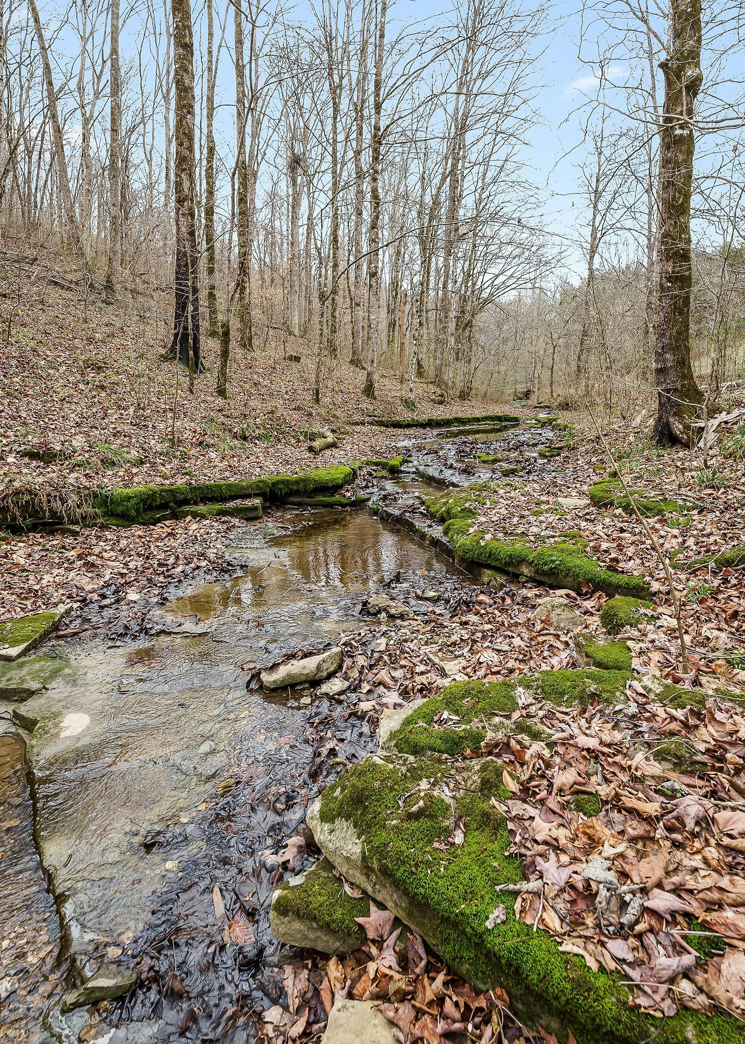 0 Lancaster Highway Hickman TN 38567