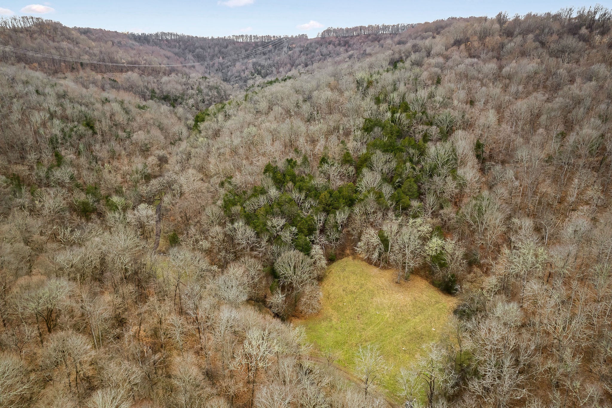 0 Lancaster Highway Hickman TN 38567