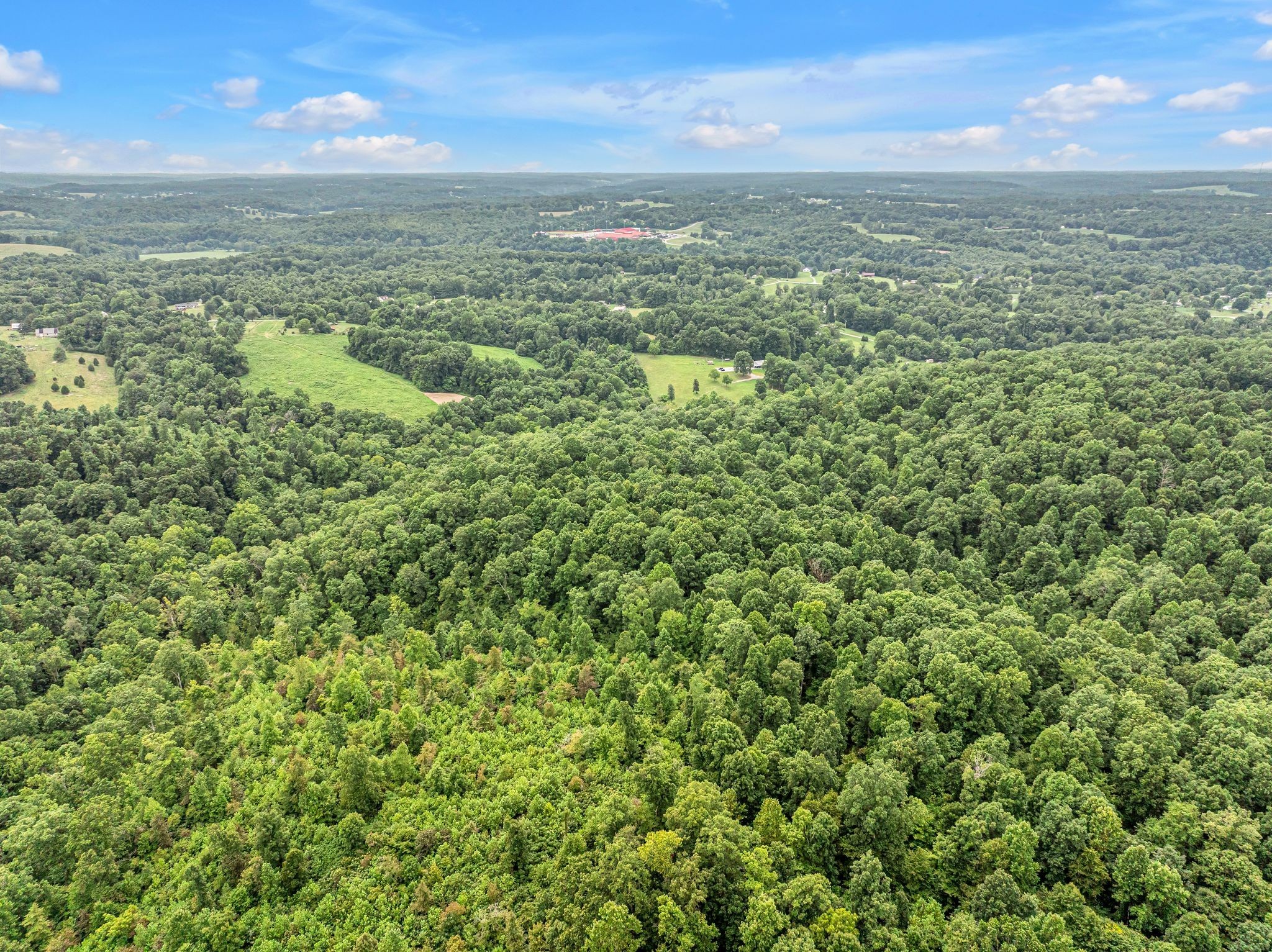 1259 Petty Road White Bluff TN 37187