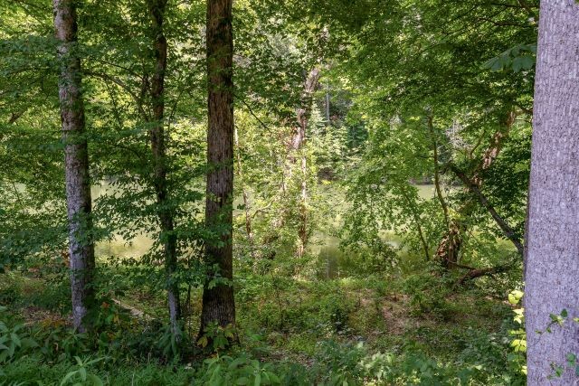 49 Hidden River Road Rock Island TN 38581