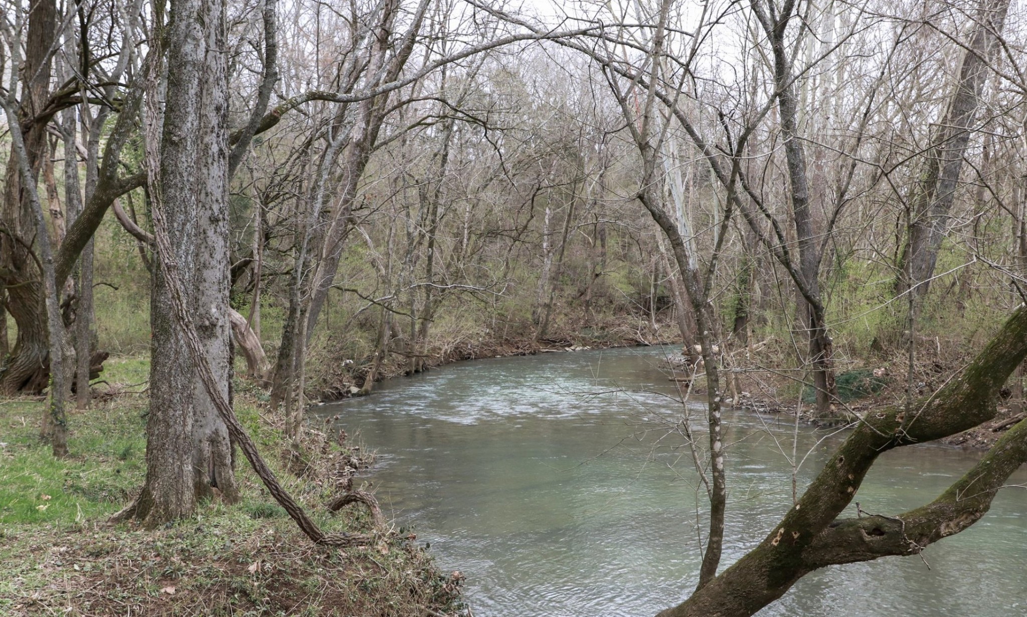 0 Oxford Village Cove Columbia TN 38401