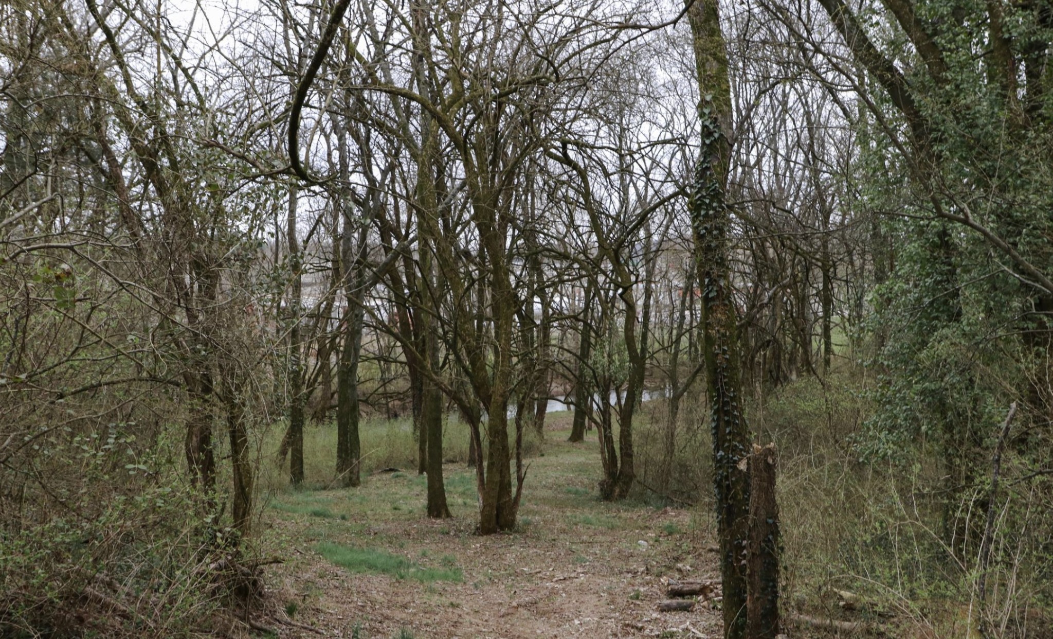 0 Oxford Village Cove Columbia TN 38401