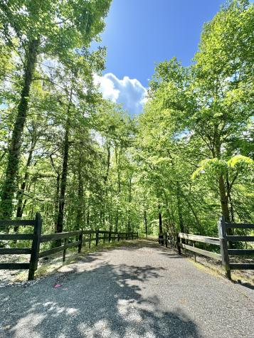 0 Lake View Drive Smithville TN 37166