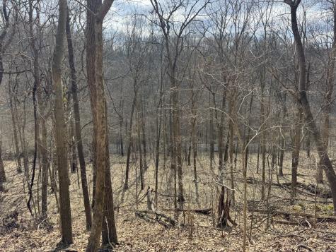 0 Lake View Drive Smithville TN 37166