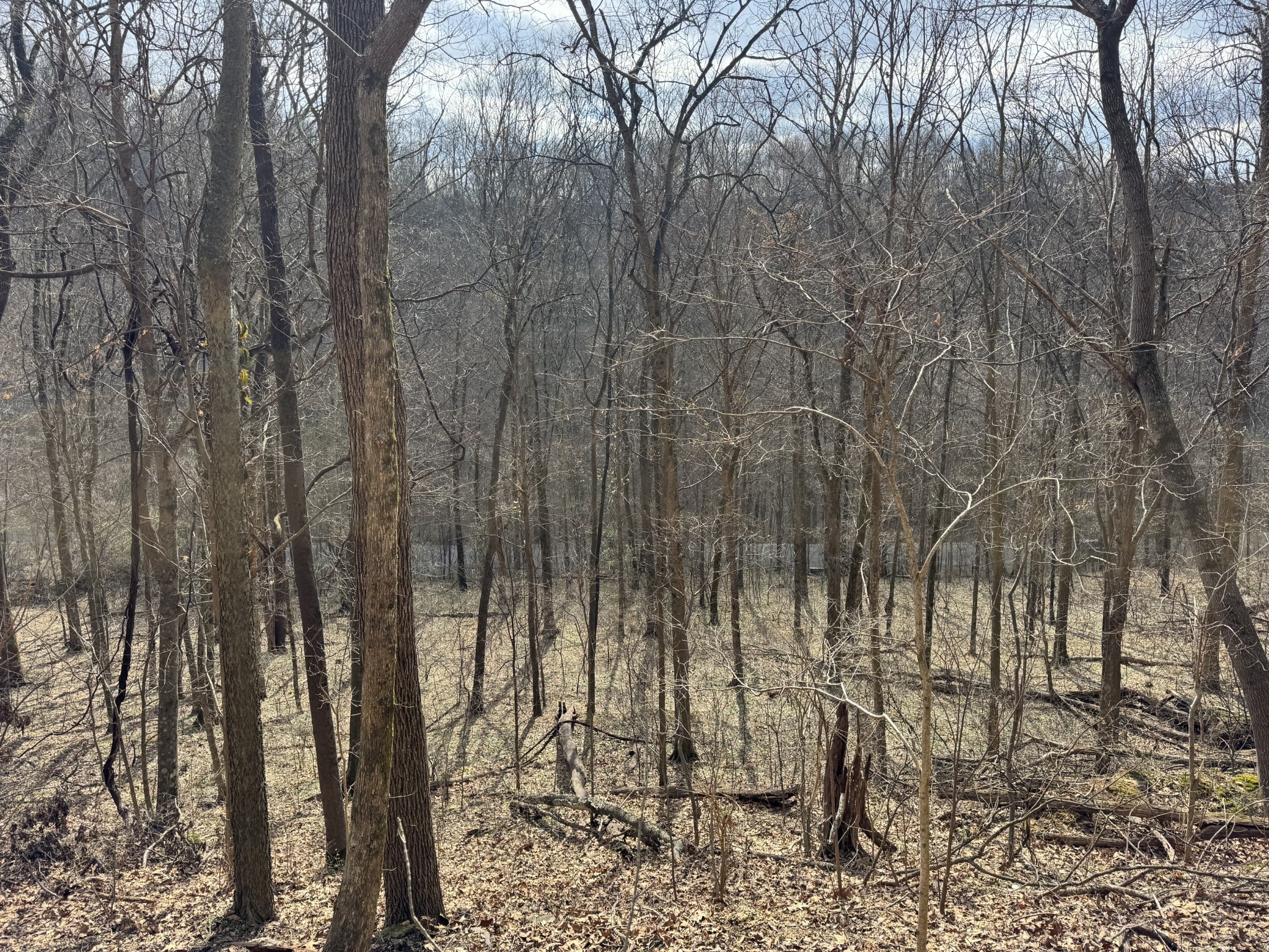 0 Lake View Drive Smithville TN 37166