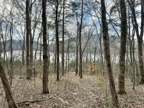 0 Lake View Drive Smithville TN 37166