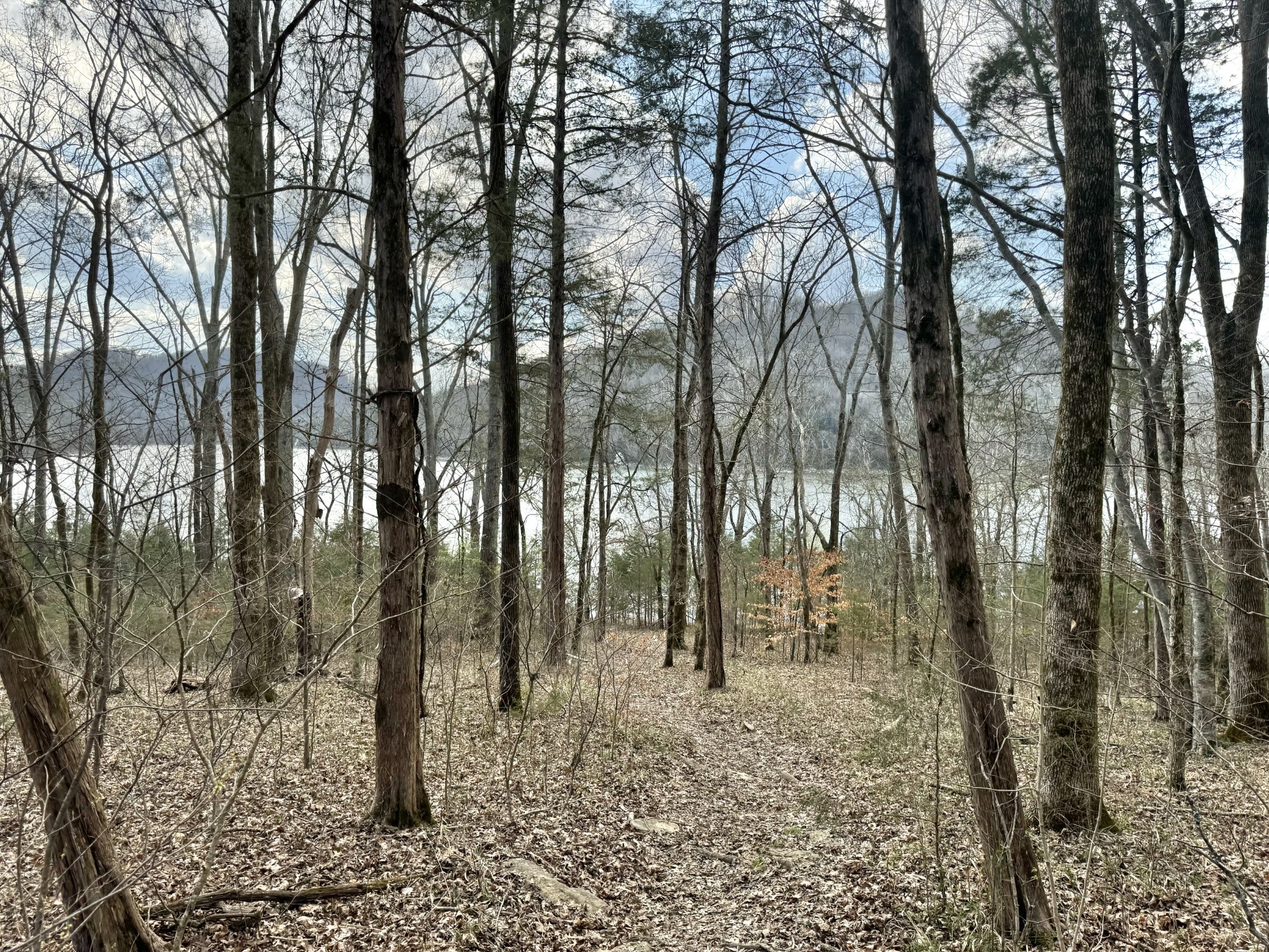 0 Lake View Drive Smithville TN 37166