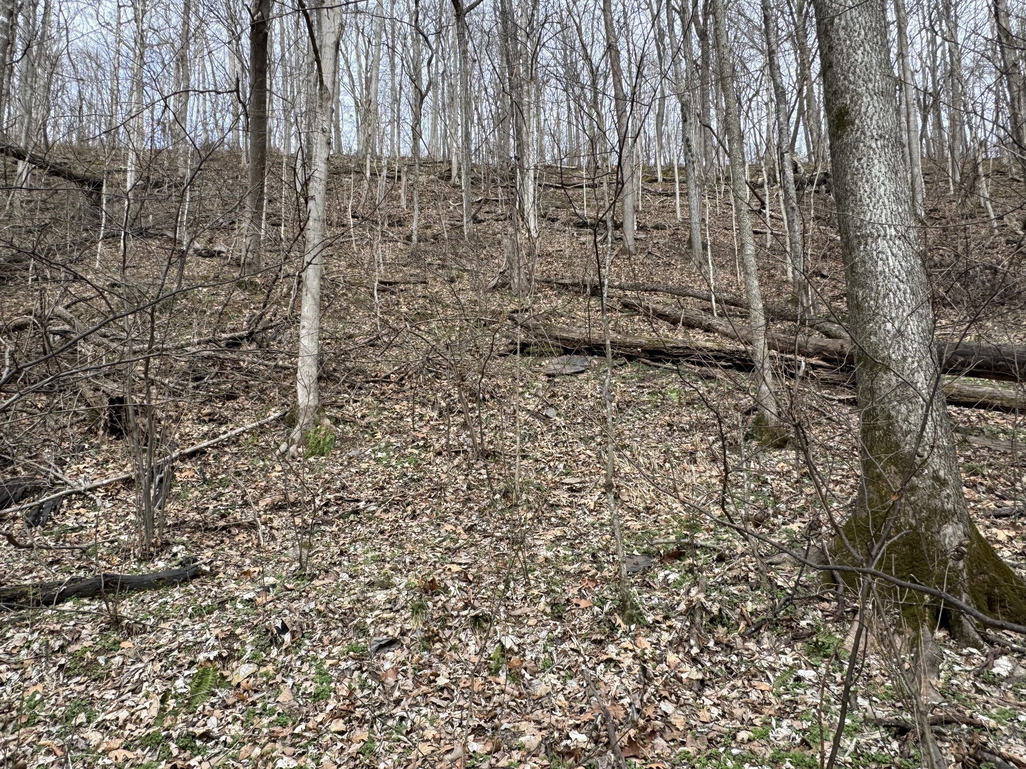 0 Lake View Drive Smithville TN 37166