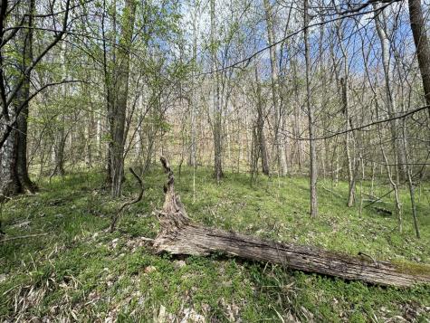 0 Lake View Drive Smithville TN 37166