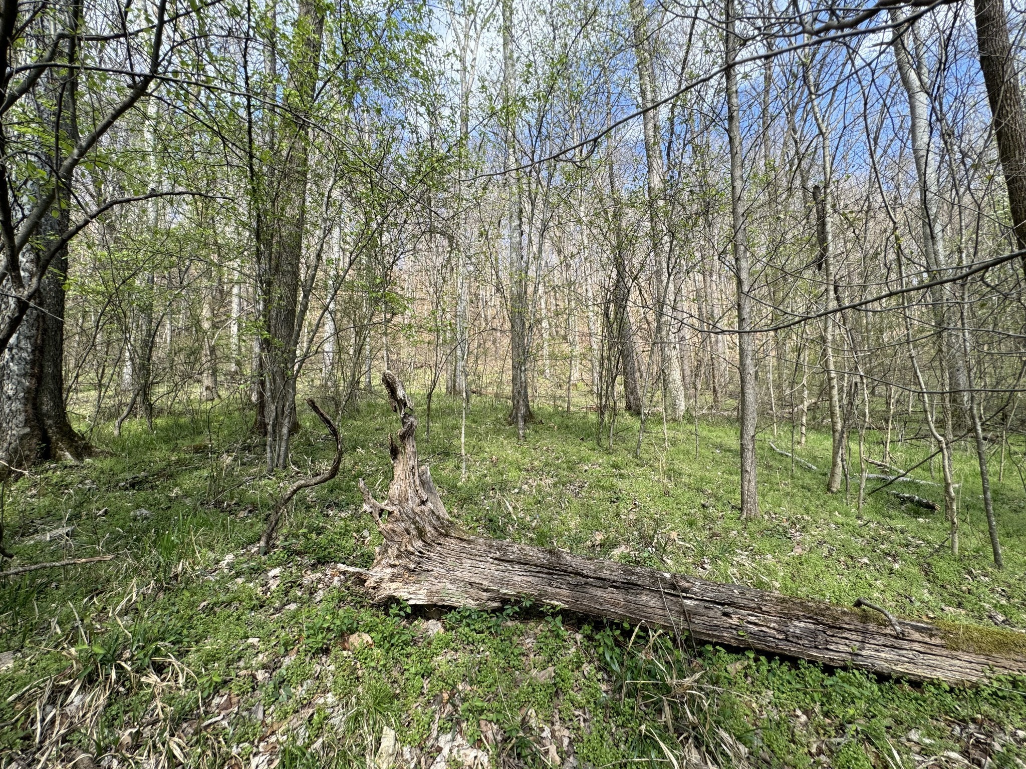 0 Lake View Drive Smithville TN 37166