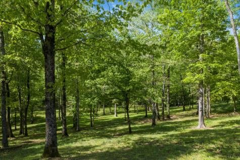 694 Lick Creek Boat Dock Loop Parsons TN 38363