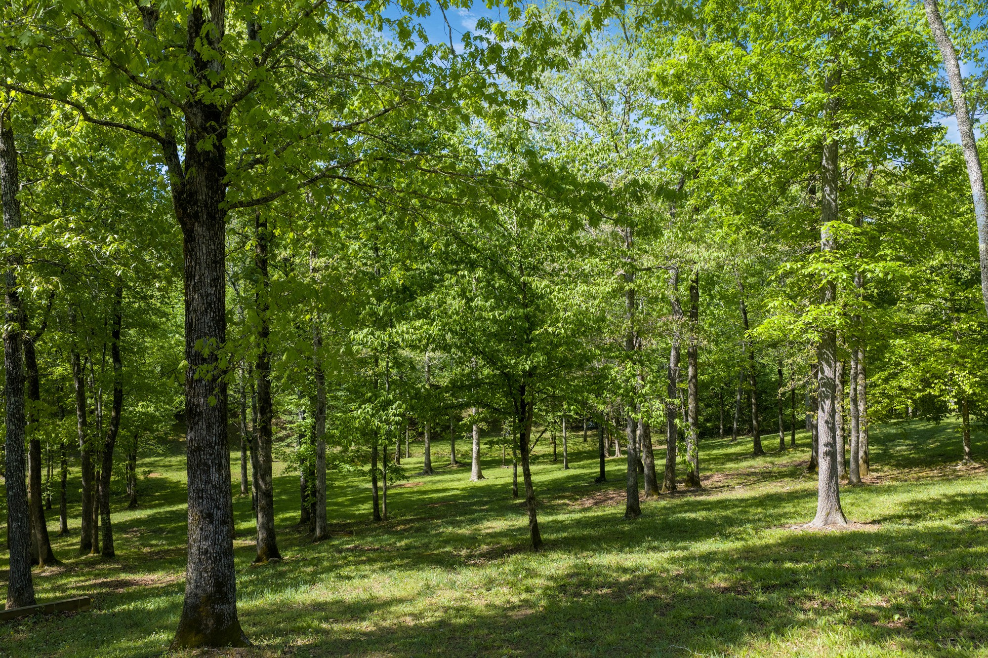694 Lick Creek Boat Dock Loop Parsons TN 38363