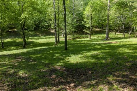 694 Lick Creek Boat Dock Loop Parsons TN 38363