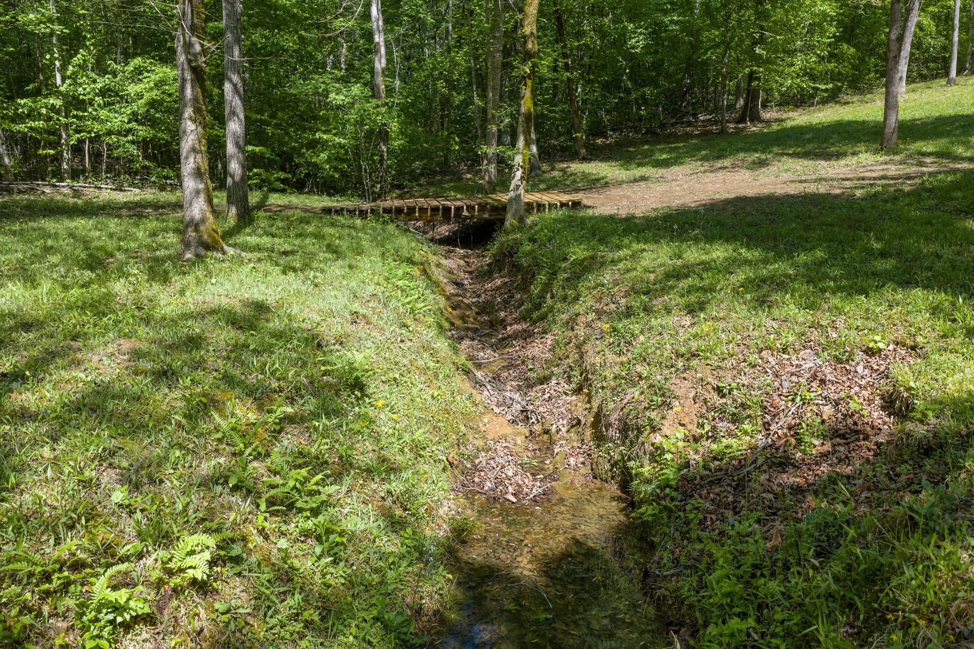 694 Lick Creek Boat Dock Loop Parsons TN 38363