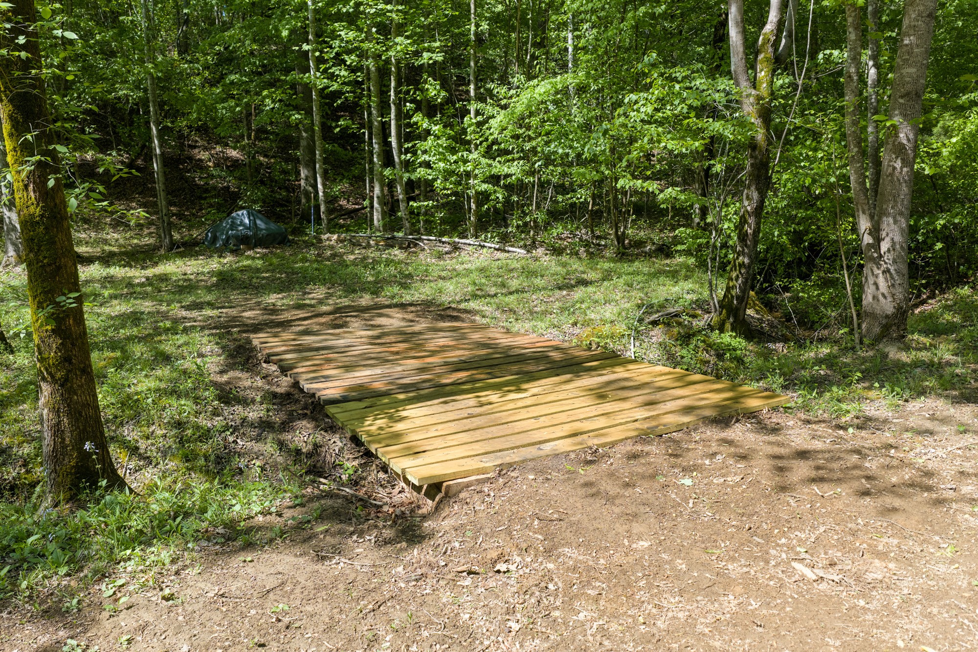 694 Lick Creek Boat Dock Loop Parsons TN 38363