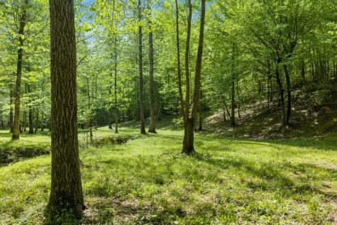 694 Lick Creek Boat Dock Loop Parsons TN 38363
