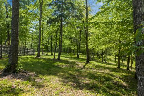 694 Lick Creek Boat Dock Loop Parsons TN 38363