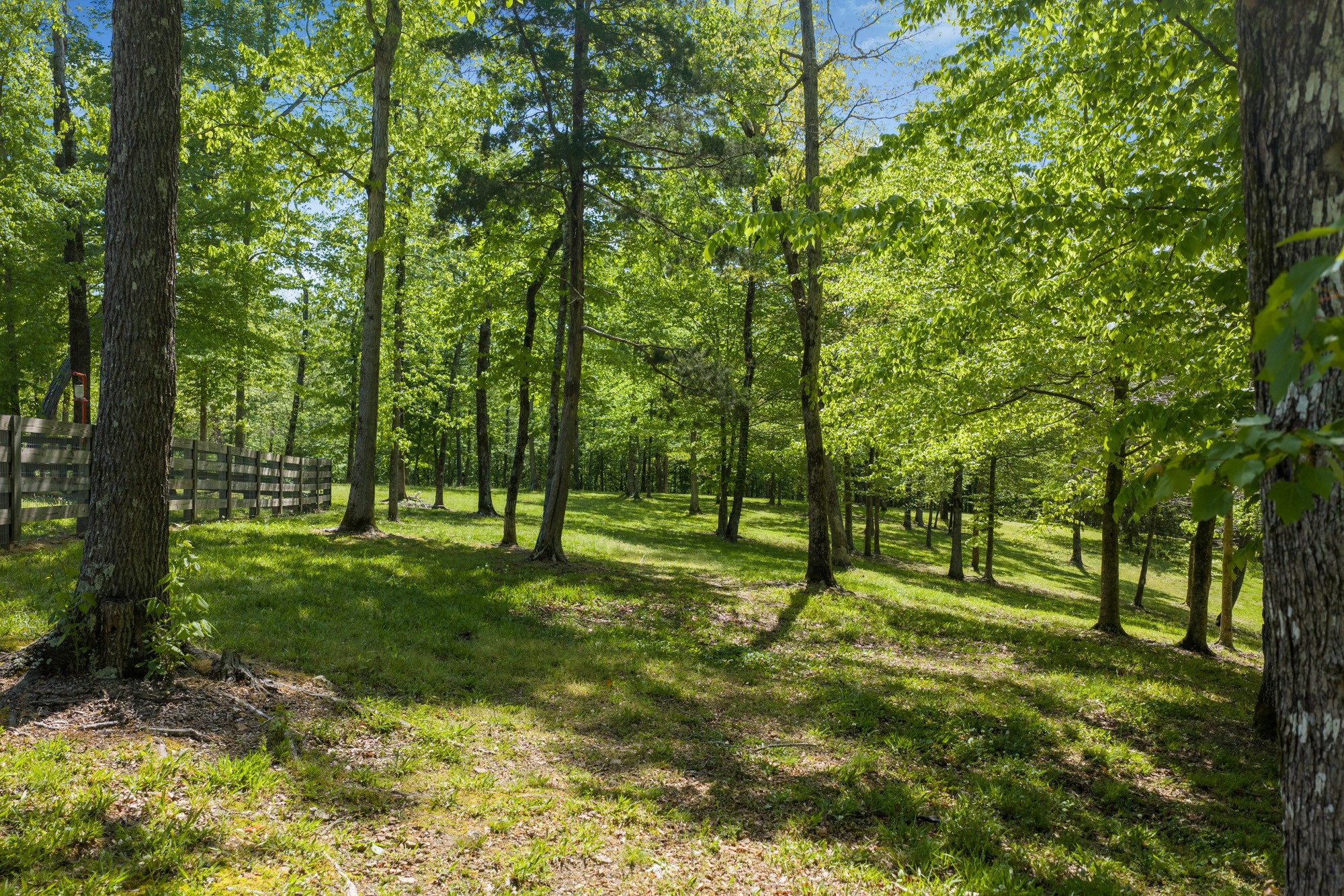 694 Lick Creek Boat Dock Loop Parsons TN 38363