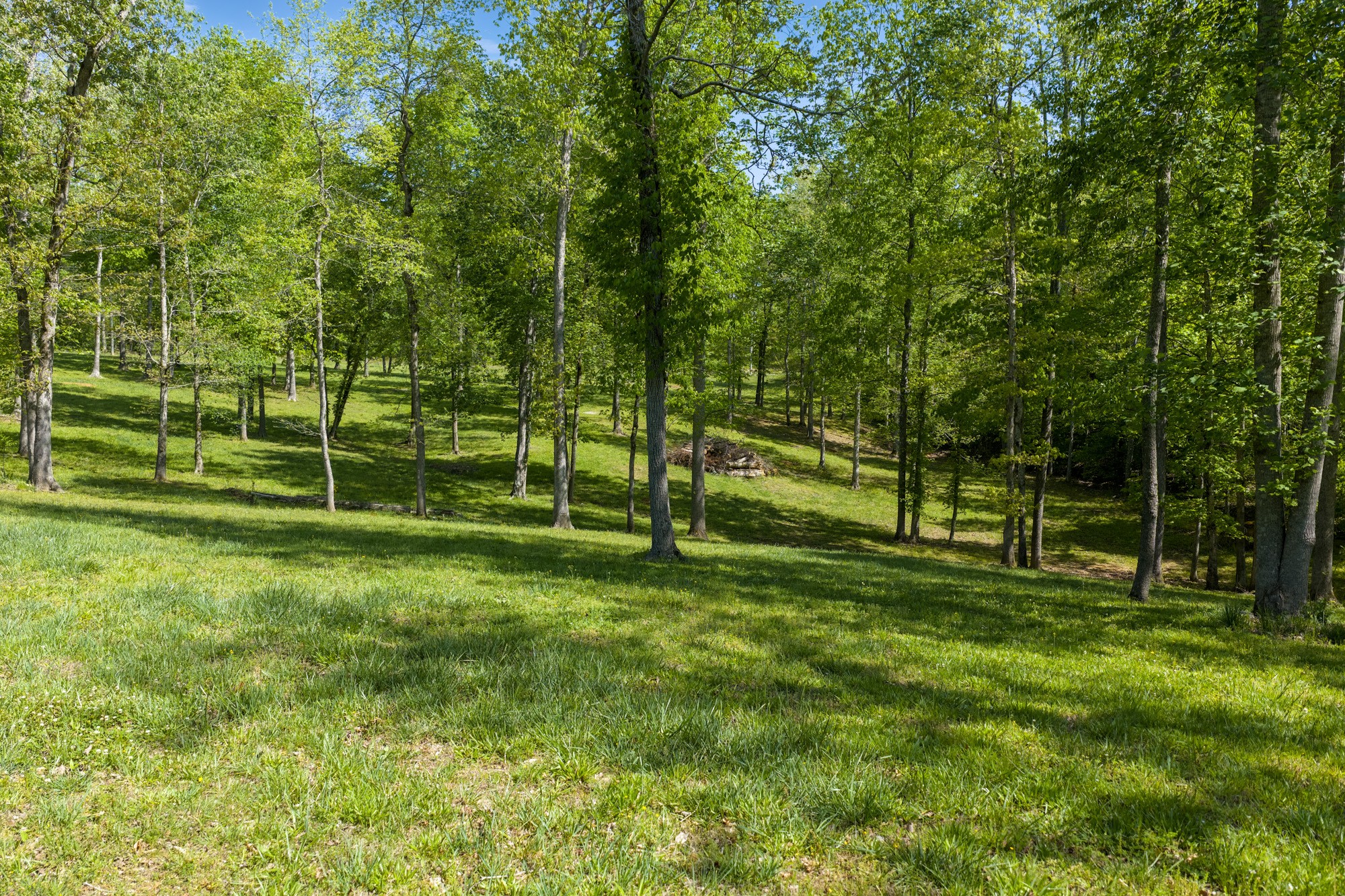 694 Lick Creek Boat Dock Loop Parsons TN 38363