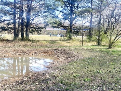 200 Brown Town Road Waverly TN 37185