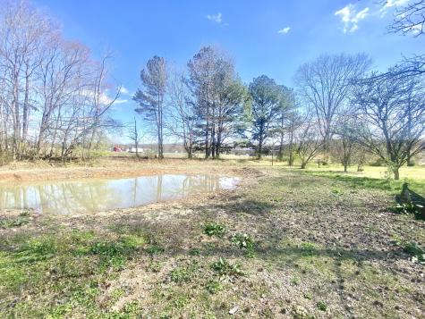 200 Brown Town Road Waverly TN 37185