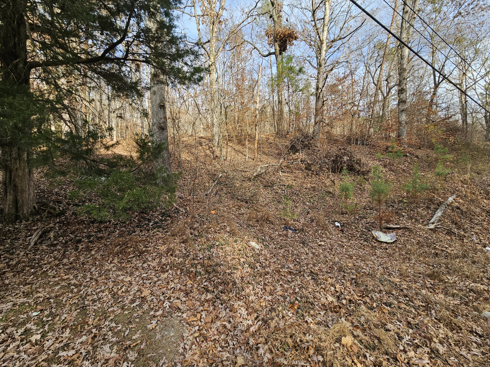 7 Smyrna Road Evensville TN 37332