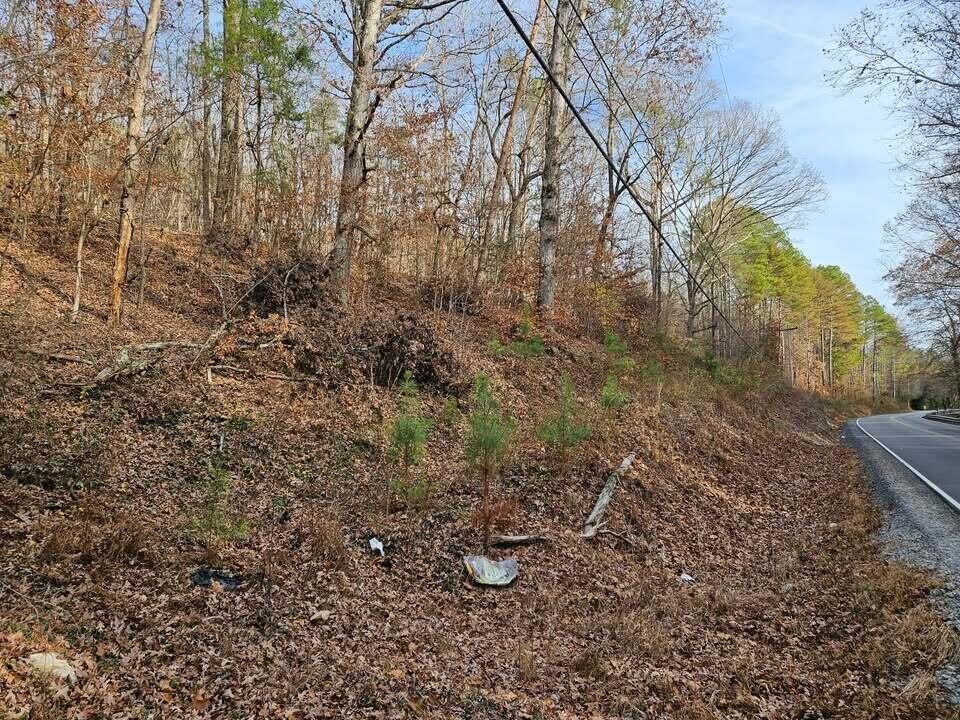 7 Smyrna Road Evensville TN 37332