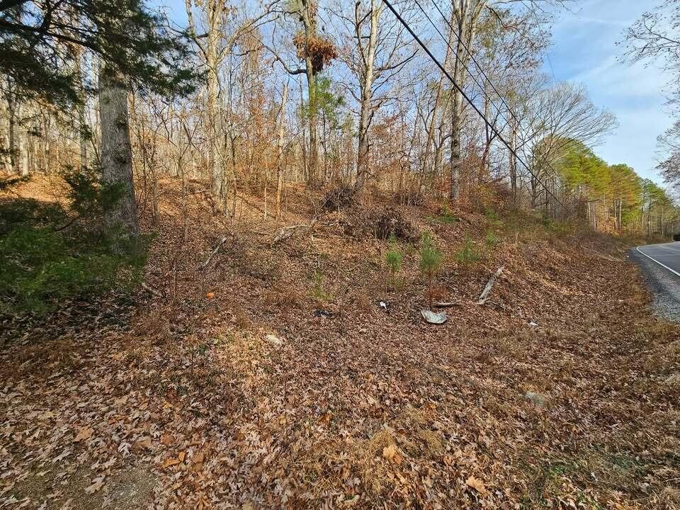 7 Smyrna Road Evensville TN 37332