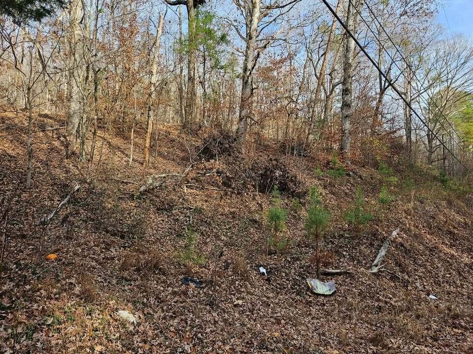 7 Smyrna Road Evensville TN 37332