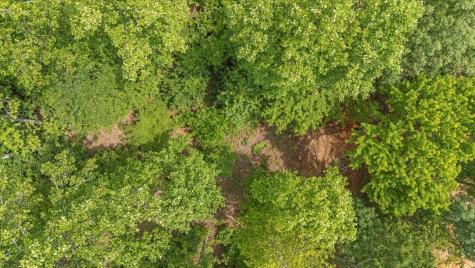 525 Moonlight Lane Jasper TN 37347