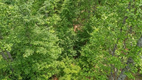 525 Moonlight Lane Jasper TN 37347