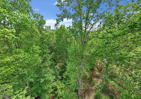 525 Moonlight Lane Jasper TN 37347