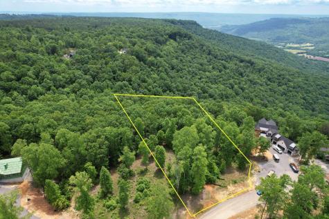 525 Moonlight Lane Jasper TN 37347