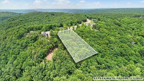 525 Moonlight Lane Jasper TN 37347