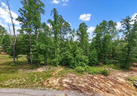 525 Moonlight Lane Jasper TN 37347