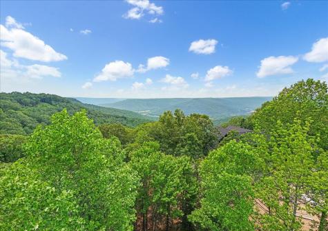 525 Moonlight Lane Jasper TN 37347