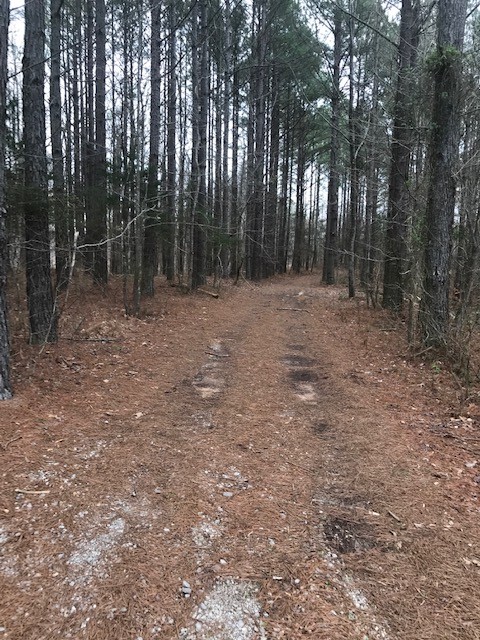 18 Allens Bend Road Smithville TN 37166