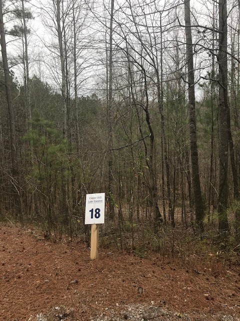 18 Allens Bend Road Smithville TN 37166
