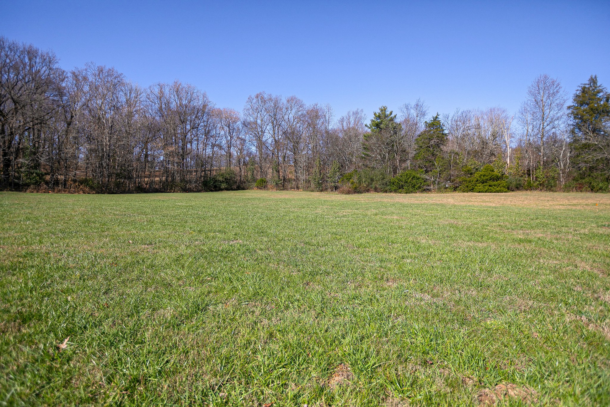 6649 Arno Allisona Road College Grove TN 37046