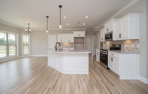 139 Bruce Meadows Drive Beechgrove TN 37018