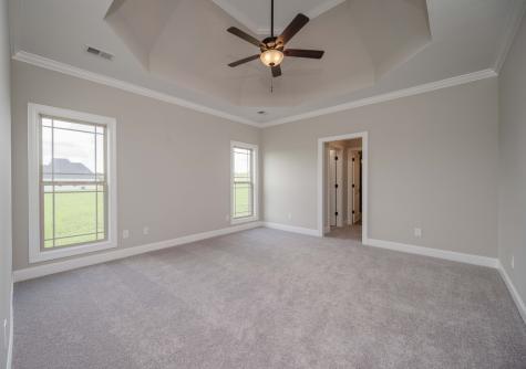 139 Bruce Meadows Drive Beechgrove TN 37018