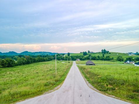 139 Bruce Meadows Drive Beechgrove TN 37018