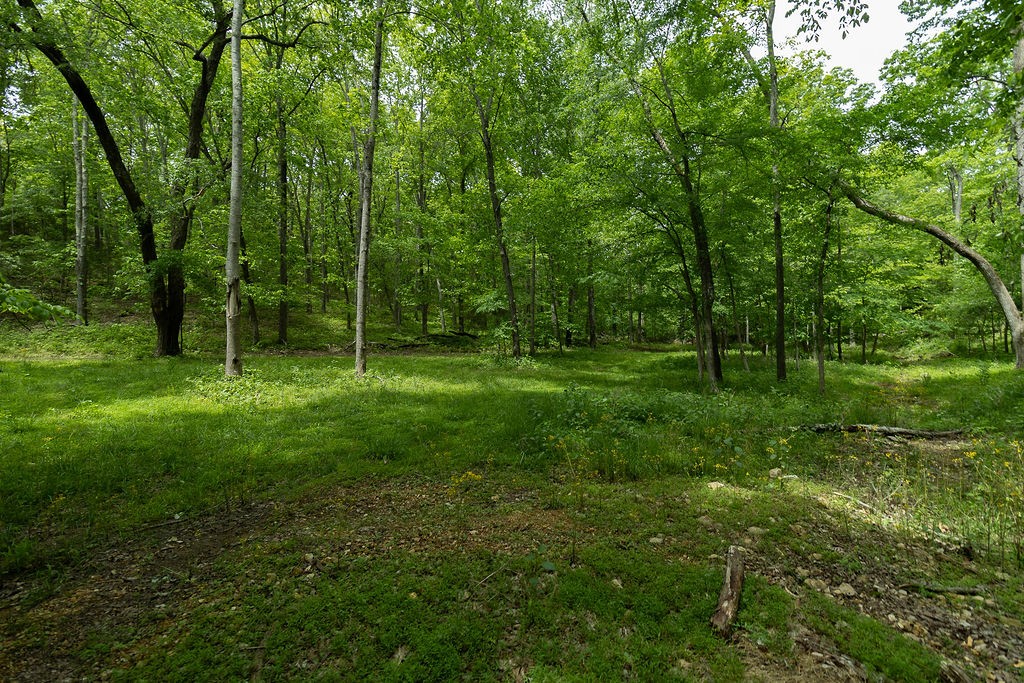 0 Billy Wynn Road Dickson TN 37055