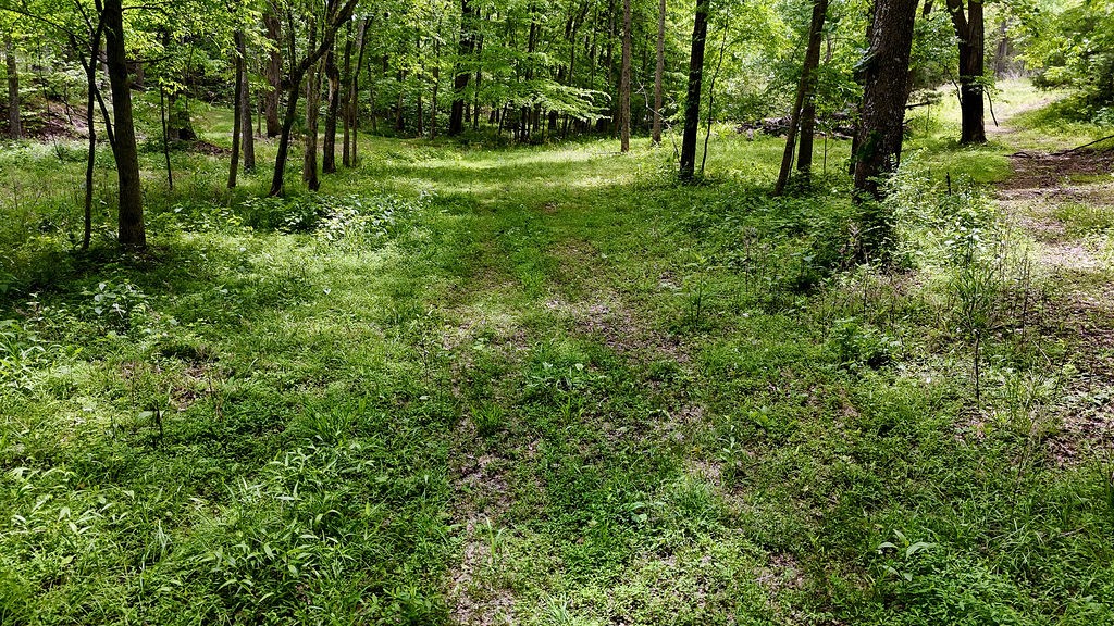 0 Billy Wynn Road Dickson TN 37055
